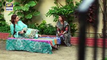 Mein Mehru Hoon Ep 198 - 15th May 2017