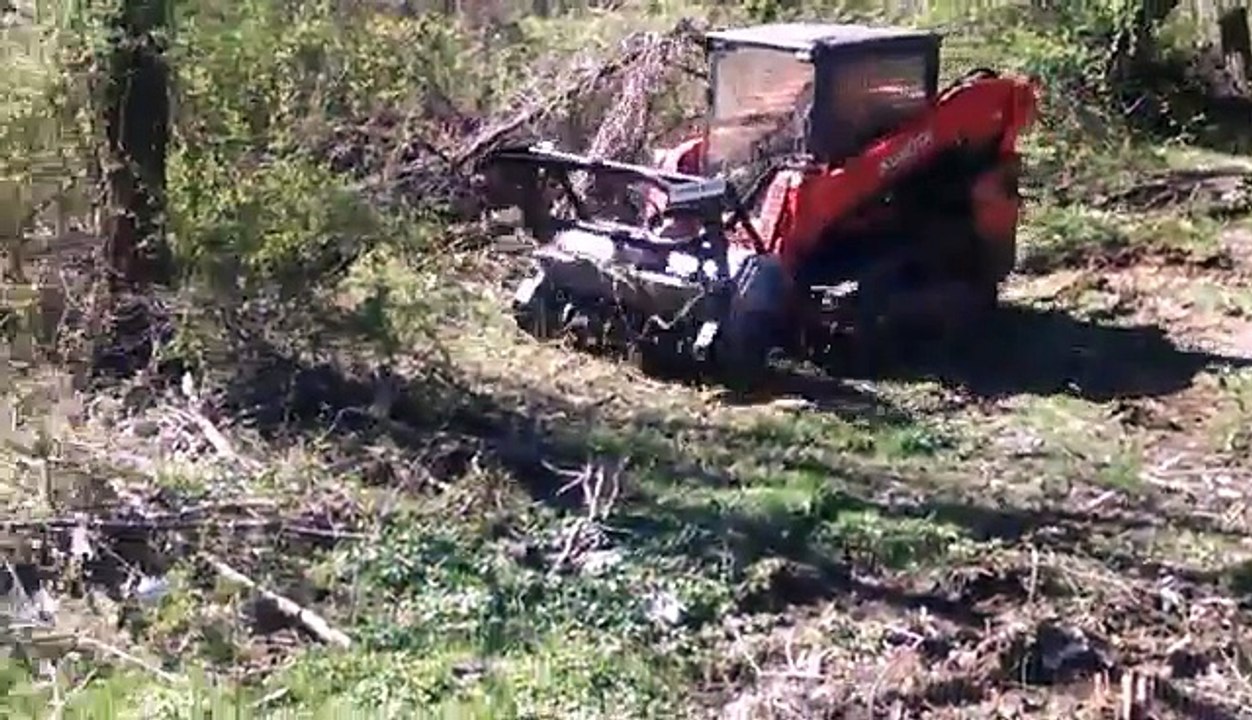 Tree Removal Millersville | Unlimbited Tree Service