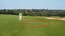 Un python traverse un parcours de golf.