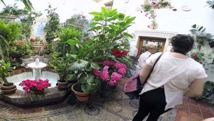 Los patios de Córdoba