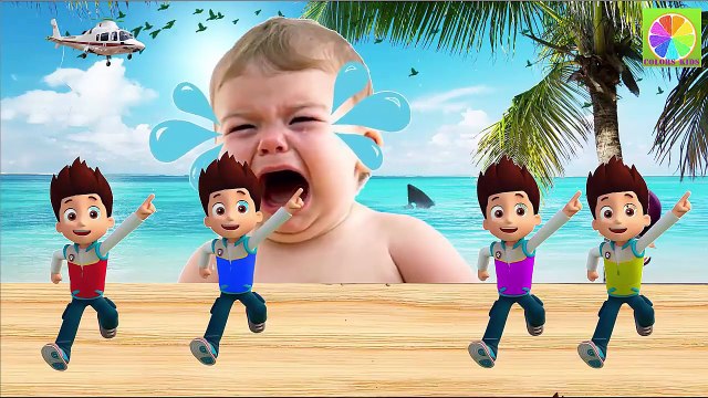 Bad Baby Crying and Learn Colors With Ryder Paw Patrol - Best Learn Colours for Kids Finger Family