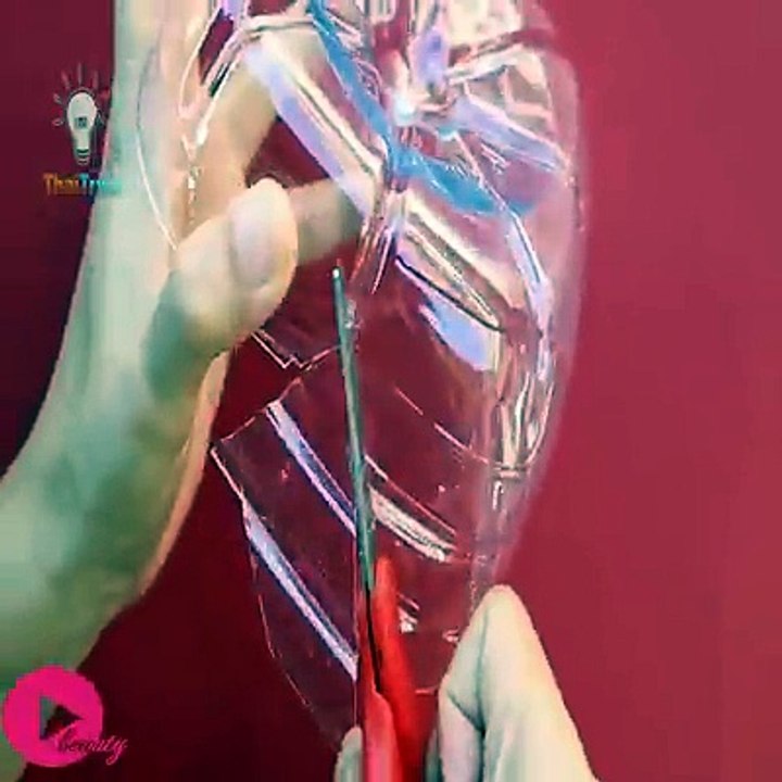 15 Plastic Bottle Life Hacks You Should Know