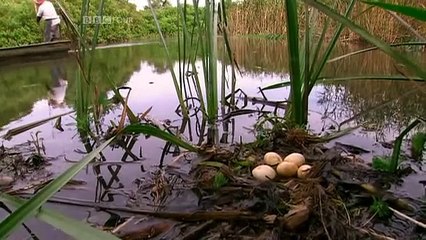 Satoyama, Japans Secret Watergarden