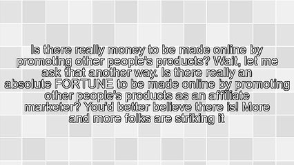 Affiliate Marketing Training: How to Become a Super Affiliate In Next to No Time!
