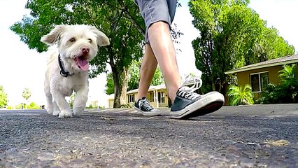 3 Fun & Unique Summer Jobs for Adults