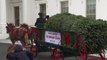 Michelle Obama receives Whas Tree-1uLsHo_aHdk
