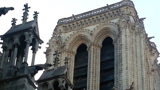 Paris: Nortre Dame bells ringing