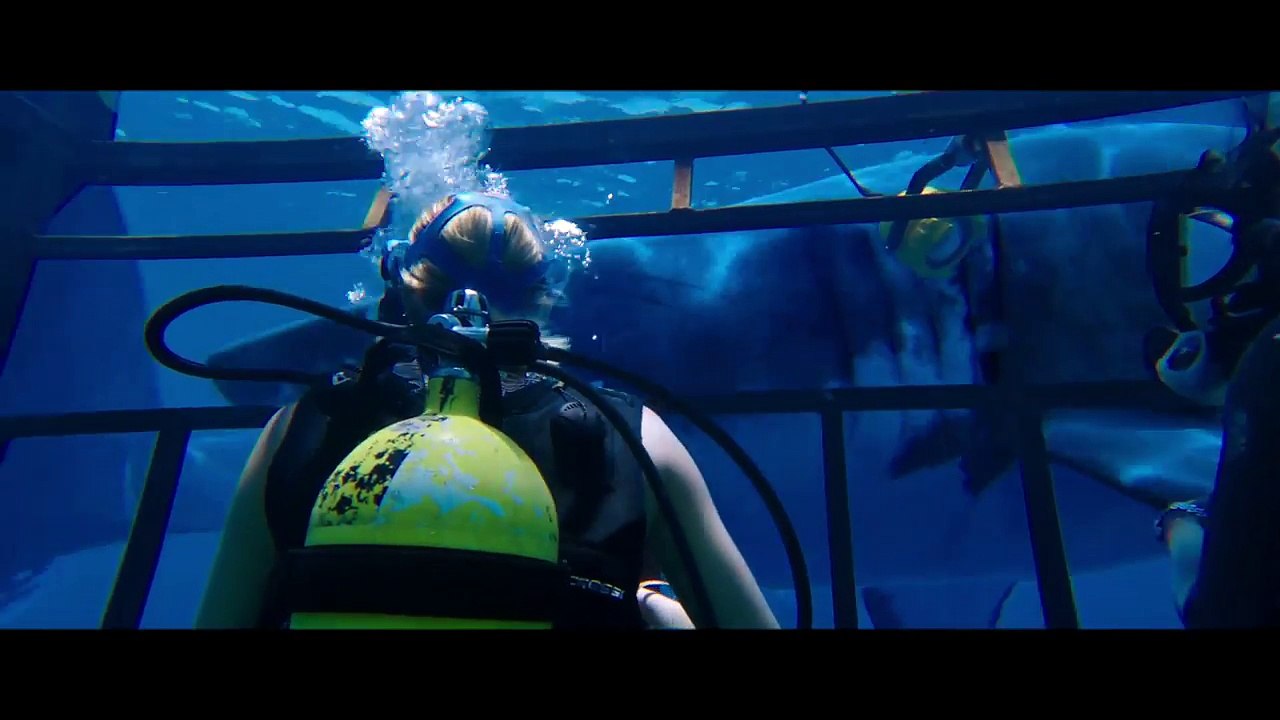 47 Meters Down Trailer