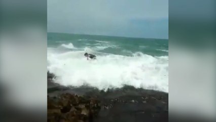 Estaba buscando la foto perfecta pero una ola se la arruinó