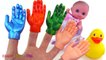 Learning Colors Video for Children Painted Hands Baby Doll Duck Finger Family Song