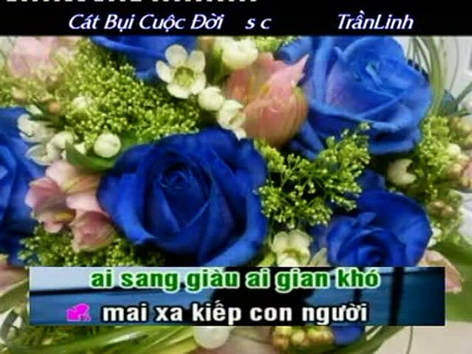 CAT BUI CUOC DOI sc TranLinh oki