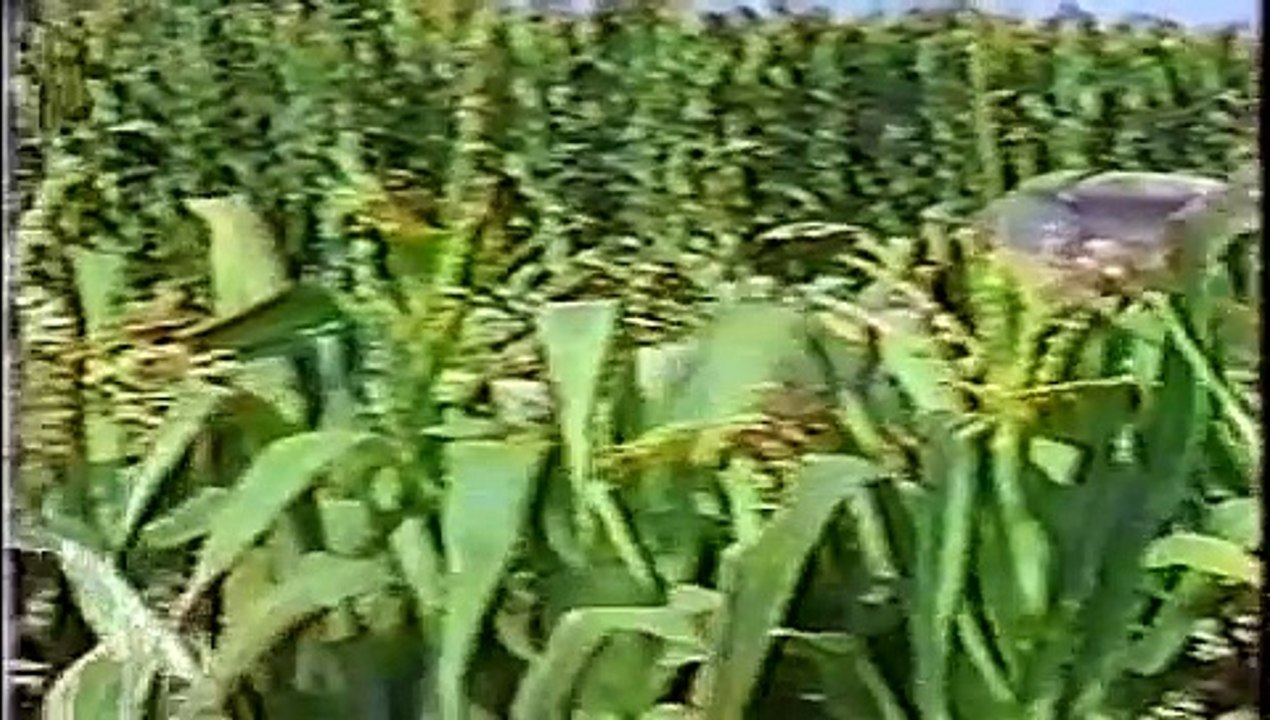 air crash investigation - United Airlines 232 (part1)