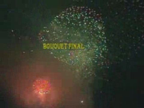 feu d'artifice du 14 juillet 2007 La Seyne sur mer