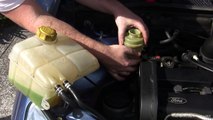 Simple how to - Ford Focus power steering fluid change