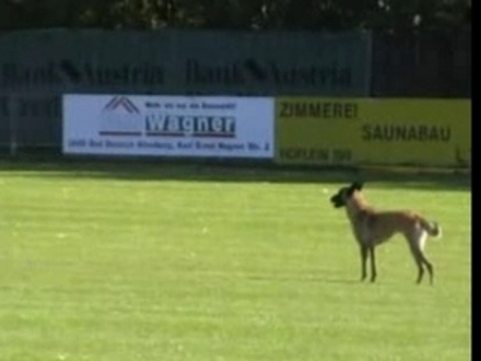 BSTM 2007-Ravenna vom Satansberg-UO