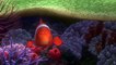 Le Monde de Nemo 3D - Bande-annonce VF - En Bl