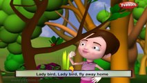 Lady Bird | 3D animated poems for kids | Baby songs | nursery rhymes for children | Funny poems for children | kids funny songs |