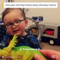 Ce gamin adorable connait tout les noms des dinosaures...