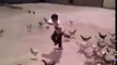 Ce gamin a voulu nourrir les poules et va vite le regretter... Attaque en mode Zombies