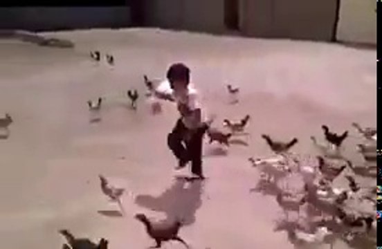 Ce gamin a voulu nourrir les poules et va vite le regretter... Attaque en mode Zombies