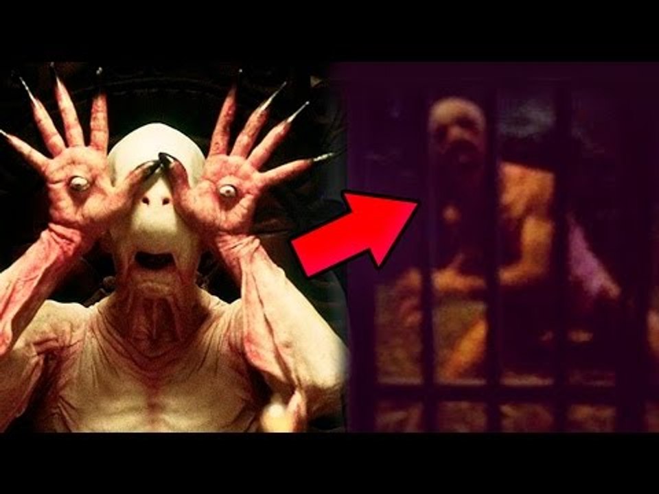 5 Terrifying Movie Creatures That Actually Exist In Real Life!