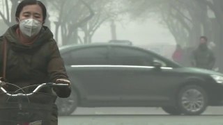 China's smoggiest city closes schools amid p