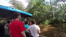 Costa Rica Reisen mit travel-to-nature-AQfePFdwjII