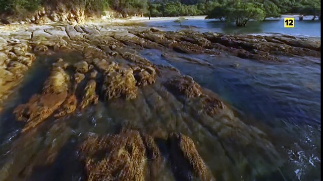 La Isla, el nuevo programa de supervivencia extrema de La Sexta