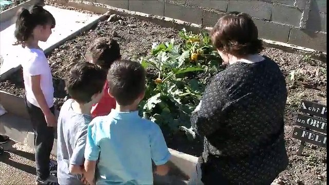 Furiani : Quand les élèves cultivent leur jardin…