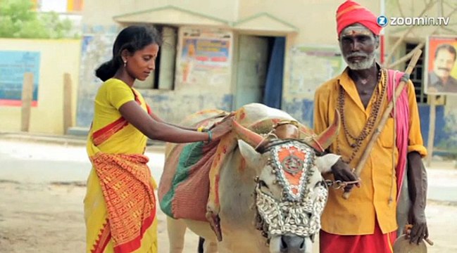 Meet the five-legged cow that cures infertility