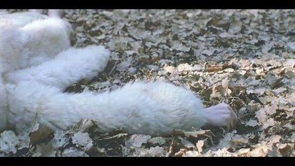 OMG watch like and share