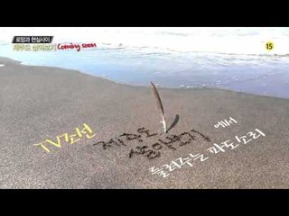 제주도 살아보기 티저 2