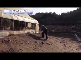 의미 있는 반란! 자연방목 유정란 [광화문의 아침] 88회 20151013