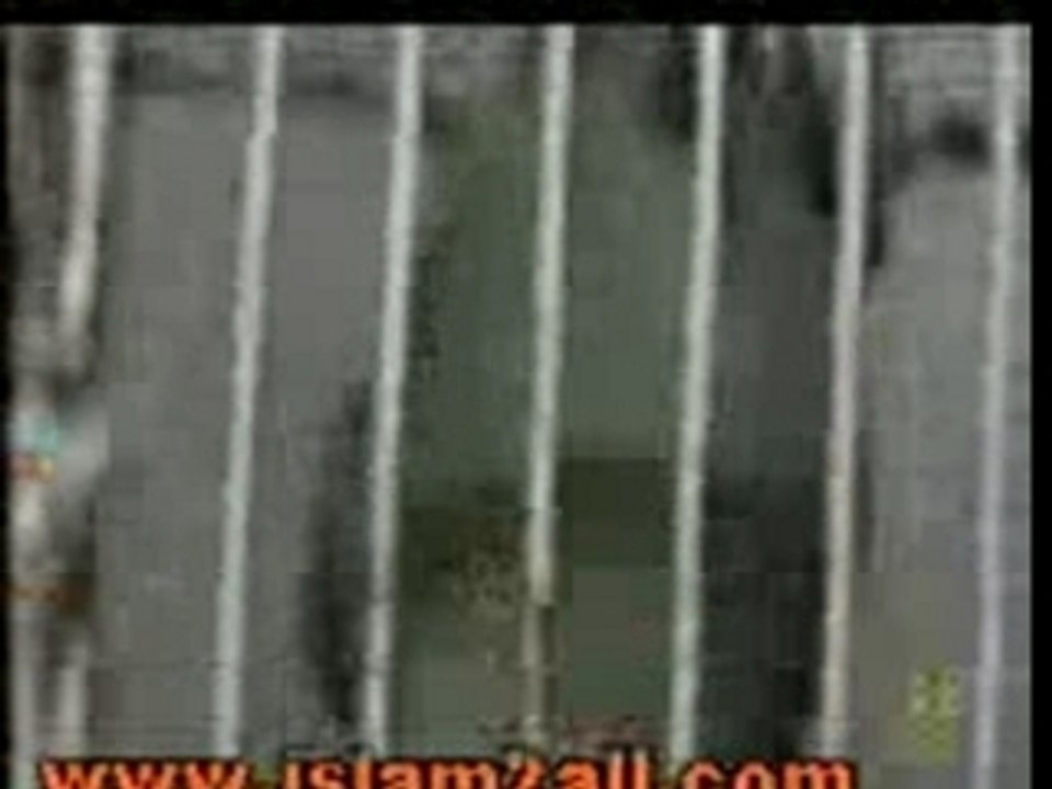 الله