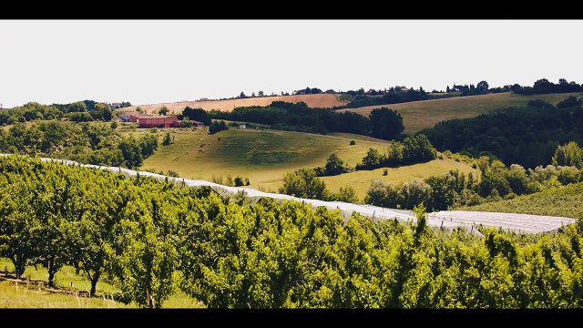 Observer et innover pour réduire les phytosanitaires