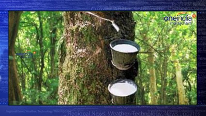 GM Collaborates With Suppliers To Improve Global Rubber Supply
