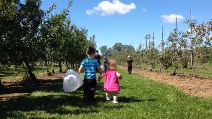 Warlord Case Study Review