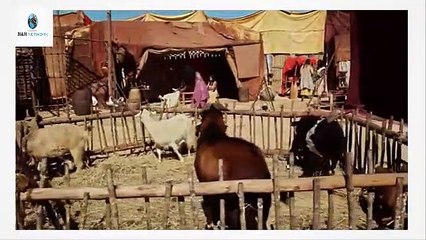 Josue y la tierra prometida Capitulo 23 Idioma Español HD