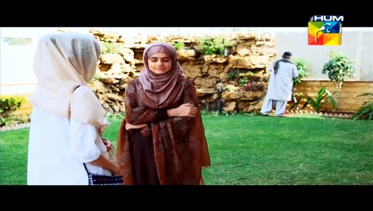 Aik Pal Episode 20 full