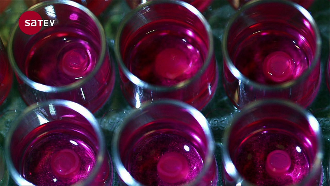 Documentaires de creation - Libérons les écritures