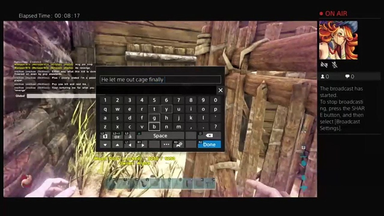 veralynn777's Live PS4 Broadcast (21)