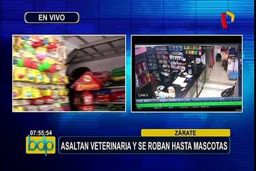 SJL: delincuentes que asaltaron veterinaria inutilizaron cámaras de seguridad