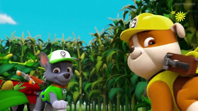 pups raise the paw patroller