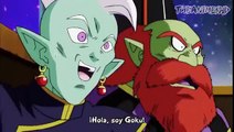 Dragon Ball Super Avance Episodio 79 Sub Español HD