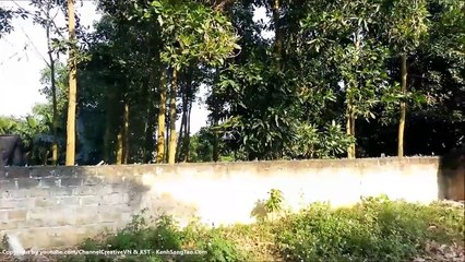 [BETA Version] DIY - Make twin-engine helicopter from wing minion flying