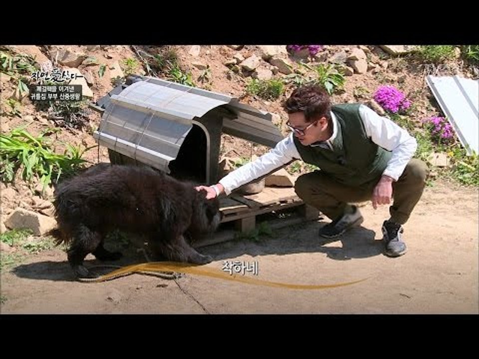 개박사 지상렬의 개 조련법?! [자연愛산다] 5회 20170516