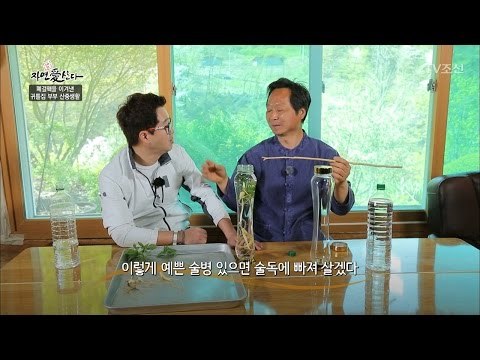 자연에서 캔 산양삼! 직접 담금주 만들기! [자연愛산다] 5회 20170516
