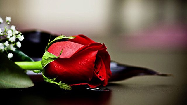 Rafta Rafta Woh Meri Hasti Ka Samaan ho Best Ghazal -