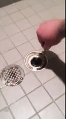 Atroce il débouche la douche pour sa femme... Kilos de cheveux !