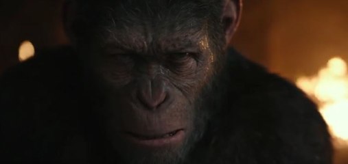 La Planète des 3 Singes - Suprématie :  Ultime Bande Annonce VOST